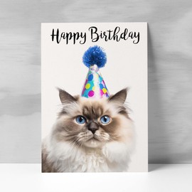 Postcard Prints - Birthday Card For Her Card For Friend Mum or Sister Birthday Card For Him Brother Dad Happy Birthday Card of Ragdoll Cat Fun Birthday Card