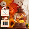 Fall Decorations for Home Fall Snow Globe with Turkey Pumpkin