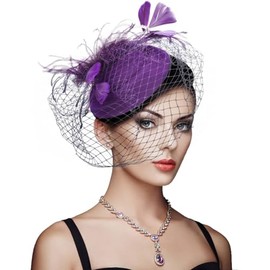 DRESHOW Fascinator Hats for Women Pillbox Hat with Veil Headband and a Forked Clip Tea Party Headwear