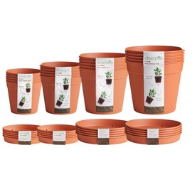 Clever Pots Flower Pot, Terracotta, Mixed