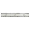 'Capybara Couple' 30cm (12 Inch) White Plastic Ruler (RL00090936)
