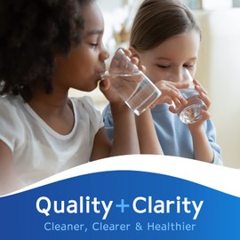 Clear Choice Taste Filter Replacement for GE MWF GWF Filter Compatible with WF287 EFF-6013A FMG-1 FMG1 Refrigerator Water Filter, NSF/ANSI 42, Box of 6, Made in the USA