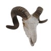 Deco 79 Polystone Sheep Home Wall Decor Skull Wall Sculpture,