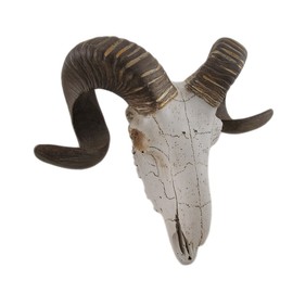 Deco 79 Polystone Sheep Home Wall Decor Skull Wall Sculpture, Wall Art 14" x 5" x 12", White