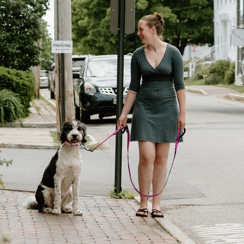 Fida 5 FT Heavy Duty Dog Leash with 2 Comfortable