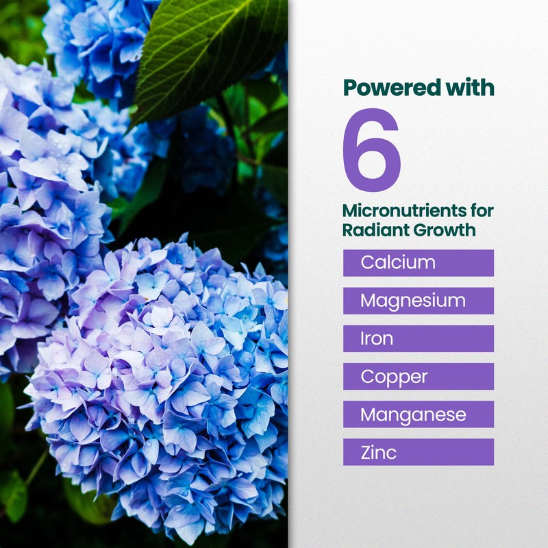 Hydrangea Fertilizer for Lush Growth, Strong Stems & Vibrant Blooms,