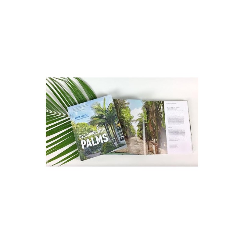 Designing with Palms