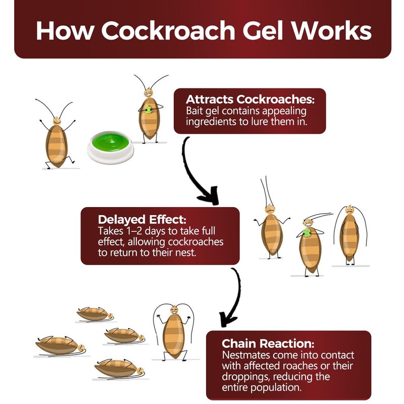 20 Pack Roach Killer Indoor Infestation, Powerful Attraction Cockroach Bait