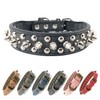 Spiked Studded Dog Collar-Chrome Round Stud Anti-Bite Collar (Black,M)