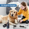 El cargador dogtra de 5 V es compatible con YS300,
