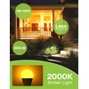 LED Amber Light Bulbs, 40W Equivalent A15 LED Bulb, 5W