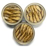 Riga Gold Smoked Sprats in Oil Clear Top 8.47 0z