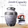 GSM Brands Cremation Urn for Adult Human Ashes - Large