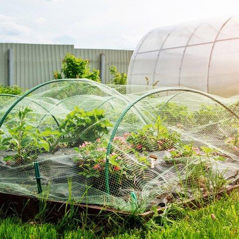 Garden Net - Garden Netting Bird Barrier | Cuttable Animals