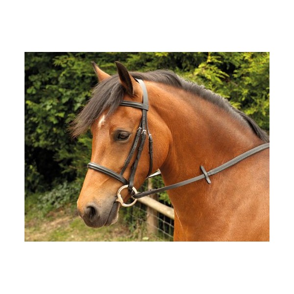 Windsor Equestrian Horses Bridle Black