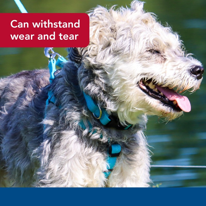 Coastal Pet - New Earth Soy - Adjustable Dog Collar,