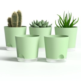 LESOASIS 4 Inch 5 Pack Small Self Watering Pots for Indoor Plants, Nursery Pot with Drainage Holes and Saucers, Plastic Small Flower Planter for Succulent, Aloe, Cacti and More(Green)