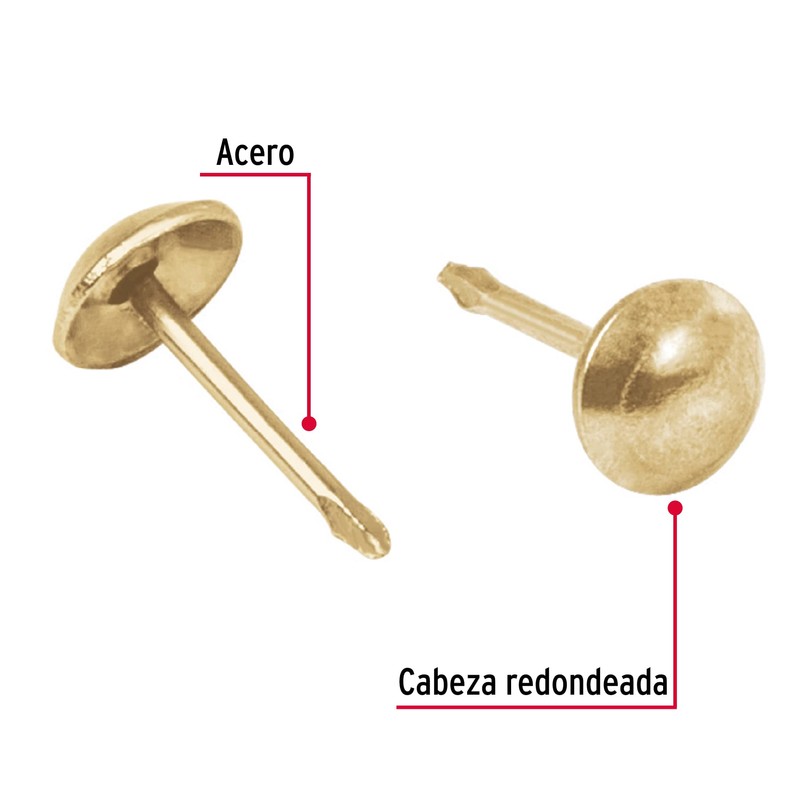 Fiero CLV-17D, Clavillos dorados