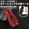 NKAKTSU Mini Multi-Tool, 12-Function Pliers, Foldable, Survival Tool with Nylon