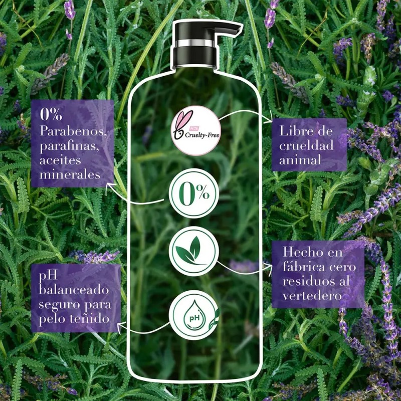 Shampoo Herbal Essences Antifrizz Lavanda & aceite de almendras 400
