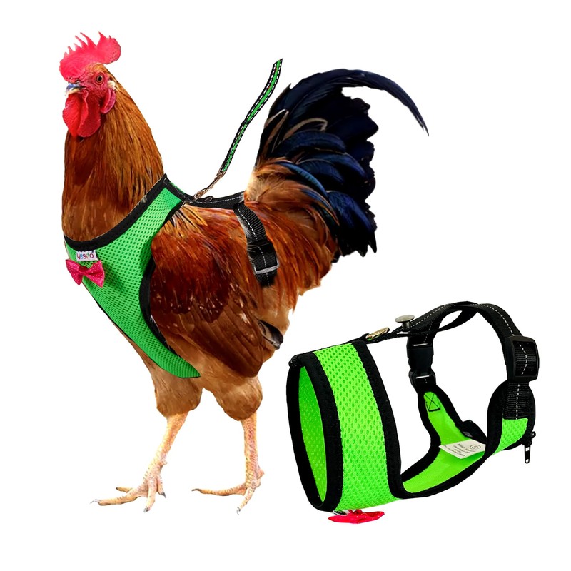 Yesito Chicken Harness Hen Size With6-foot Matching Belt - Adjustable,