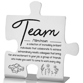Team Definition Desk Sign for Coworker Employee Boss, Inspirational Puzzle Plaque for Office Decor, Appreciation Recognition Gift for Women Men Team Members EDD72
