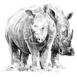 Royal & Langnickel Rhino Pair A4 Sketching Made Easy Art Project Kit