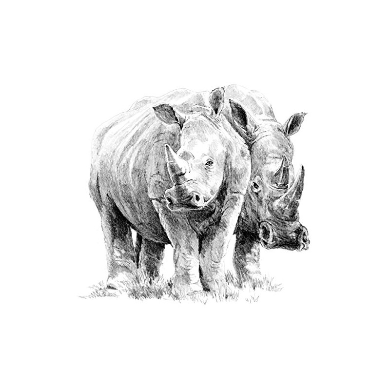 Royal & Langnickel Rhino Pair A4 Sketching Made Easy Art