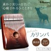 Hostaro Kalimba Thumb Piano, 17 Keys, Musical Instrument, Popular, with