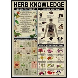 Herb Knowledge Metal Tin Sign Herbal First Aid Kit And Body Map And Edible Wild Flower Chart Wallart Artwork Poster School Office Farm People Cave Bedroom Livingroom Vintage Funny Plaque Decoratio