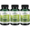 Swanson Full Spectrum Lemon Balm Relaxation Sleep Support 500 Milligrams