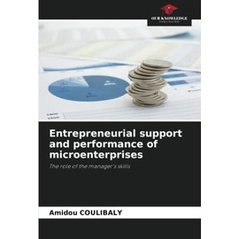 Entrepreneurial support and performance of microenterprises: The role of the manager's skills