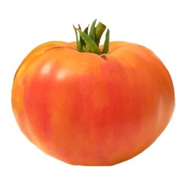 Virginia Sweets Heirloom Tomato 10 Seeds