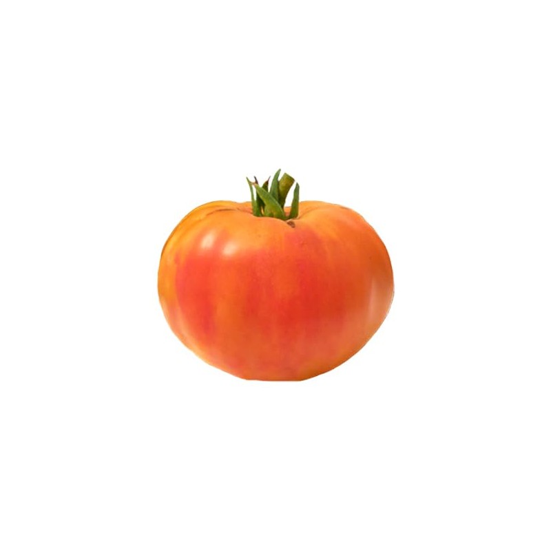 Virginia Sweets Heirloom Tomato 10 Seeds
