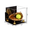 Better Display Cases Versatile Acrylic Display Case - Medium Square