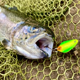 Psarás Amphithere trout spoon set box, 10 pieces, 2.2 g, trout fishing spoon, UL fishing