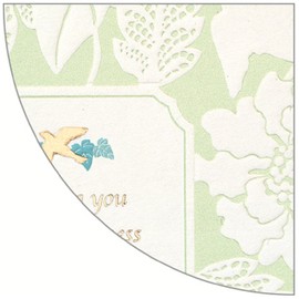 Gakken Stayful Shikishi, Adult Shikishi, Green D18006