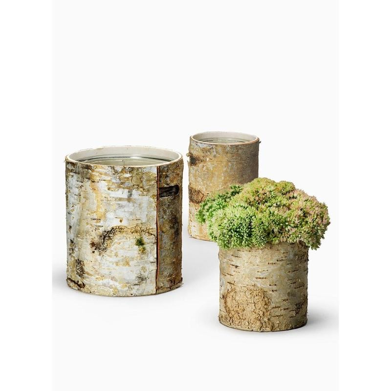 Serene Spaces Living 4.5" White Birch Bark Vase - Size: