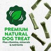 Greenies Veterinarian-Recommended Adult Natural Dental Dog Treats Regular Size, Original