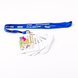 PECS® Show and Go: Visual Classroom Direction Cards (Blue)