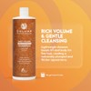 Colure Body Volume Shampoo (New Packaging) 33.8 fl oz