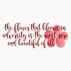 The flower that blooms... Bumper Sticker Vinyl Decal 5 inches