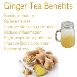 TeadreamTea Ginger Tea Bags - 50 Bleach-Free Tea Bags | Caffeine Free, Antioxidant, Calms Upset Stomach - Strengthen Immune System - Herbal Ginger Tea