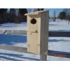 Gregg's Wood duck nest box build yourself kit (white cedar).