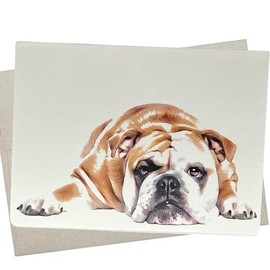 English Bulldog Card, Bulldog Birthday Card from Dog (1 Premium Quality Folded Card, Blank Inside, 5X7 Inch) also for Anniversary, Wedding, Get Well and Thank You - 405