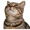 Cwyza Silver Cat Chain Collar with Removable Bell