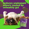 Petlii PROBIOTIC CHEWS - dog probiotics for gut health -
