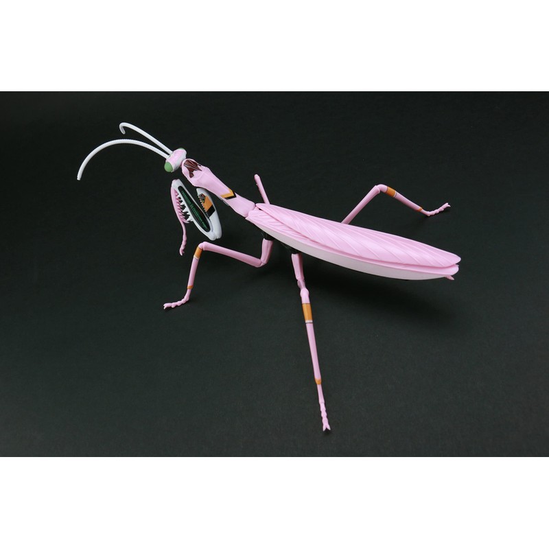 Fujimi Model Free Research Series No. 232 Evangelion Edition Wolk
