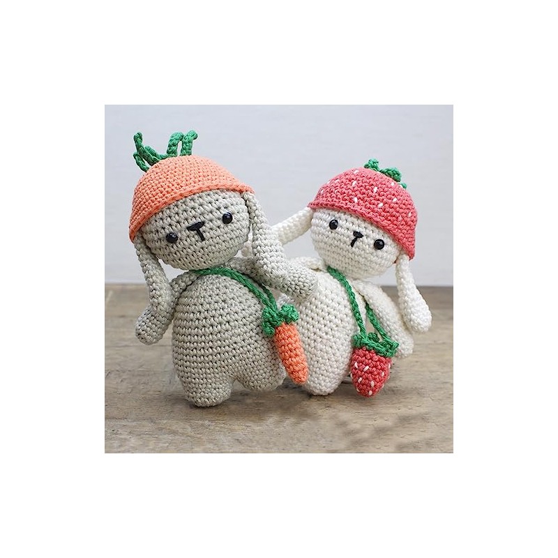 Hardicraft DIY Crochet Kit with Instructions and Material for Ilse