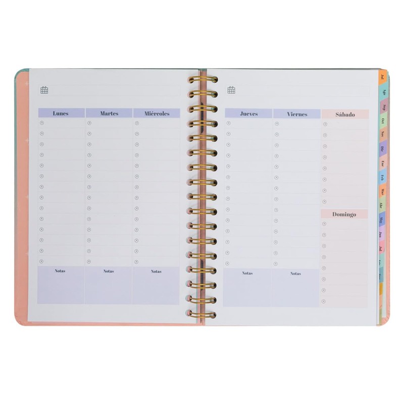 Mr.Wonderful – Office Agenda 2024-25 Weekly 18 Months – Many